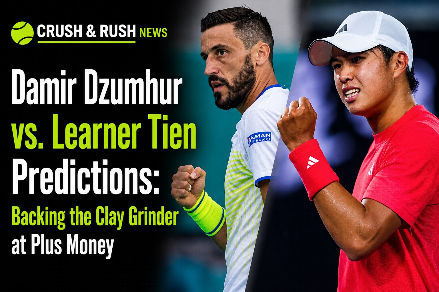 Damir Dzumhur vs Learner Tien Predictions
